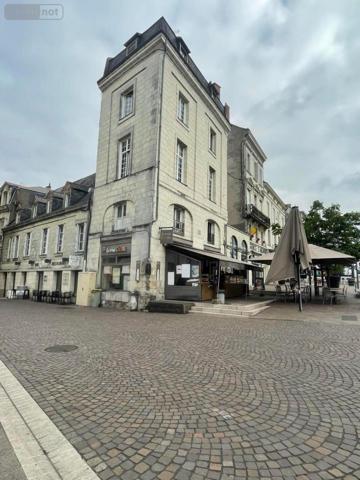 Immeuble à vendre à Saumur dans le Maine-et-Loire (49400), ref : 49075-671