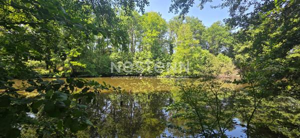 BELLE VIGNE EN LAYON - Propriété entre Champs sur Layon et Rablay sur Layon : 2 hectares, étang privé, 190 m² de charme et nature préservée. Un bien unique et incomparable.