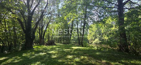BELLE VIGNE EN LAYON - Propriété entre Champs sur Layon et Rablay sur Layon : 2 hectares, étang privé, 190 m² de charme et nature préservée. Un bien unique et incomparable.