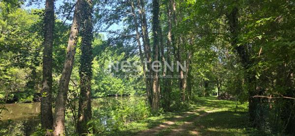 BELLE VIGNE EN LAYON - Propriété entre Champs sur Layon et Rablay sur Layon : 2 hectares, étang privé, 190 m² de charme et nature préservée. Un bien unique et incomparable.
