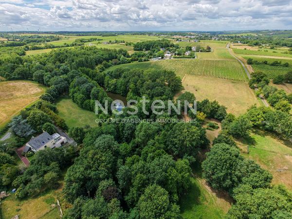 BELLE VIGNE EN LAYON - Propriété entre Champs sur Layon et Rablay sur Layon : 2 hectares, étang privé, 190 m² de charme et nature préservée. Un bien unique et incomparable.
