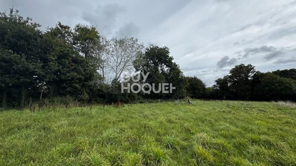 Terrain viabilisé à vendre à Noyalo