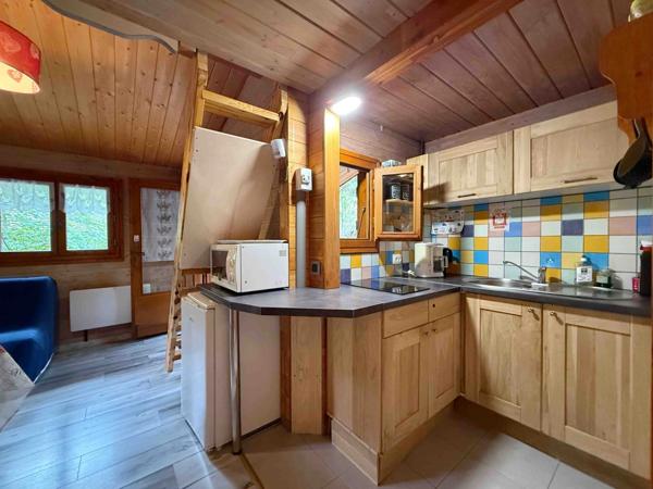 Maison à vendre 2 pièces LA ROCHE DES ARNAUDS (05)