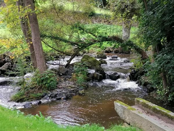 Maison atypique 130 m² – Terrain avec rivière – Mortain (50)