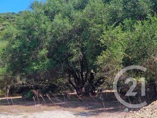 Appartement T2 à vendre  2 pièces - 51 m2 OLETTA - 202