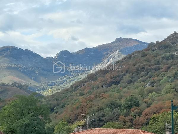 Proche du centre ville de Lourdes, venez découvrir cet appartement à rafraîchir de type 2 de 45 m² composé d'un séjour avec balcon donnant également sur la cuisine indépendante, une chambre avec placard et vue montagnes , salle d'eau et wc indépendant. 
Dans l'album photos vous pourrez découvrir une simulation sur l'aménagement possible réalisée avec l'intelligence artificielle.

L'appartement possède une cave et il se situe au rez-de-chaussée surélevé d'une résidence sans ascenseur.

Copropriété saine avec 614 € de charges annuelles