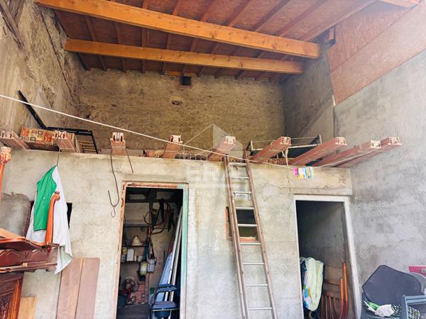 Maison bourgeoise Carcassonne 183 m2 au pied de cité médiévale avc jardin