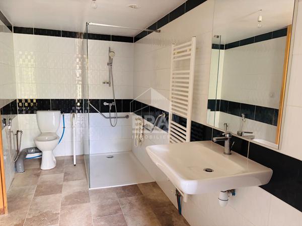 Maison bourgeoise Carcassonne 183 m2 au pied de cité médiévale avc jardin