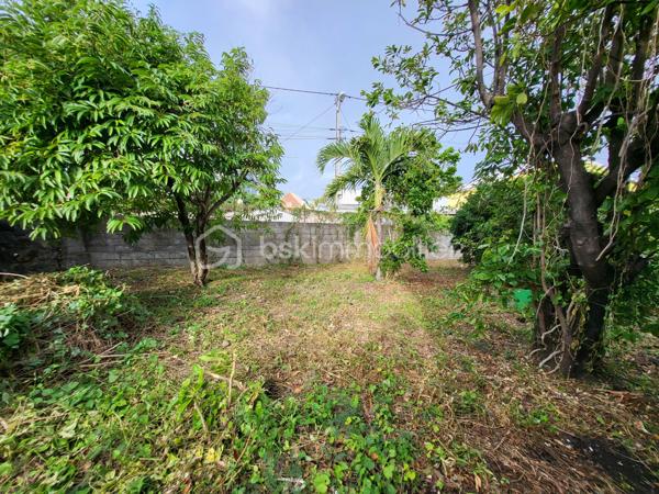 Terrain de 439,98 m²