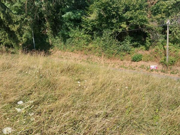 Terrain Gillonnay 458 m2