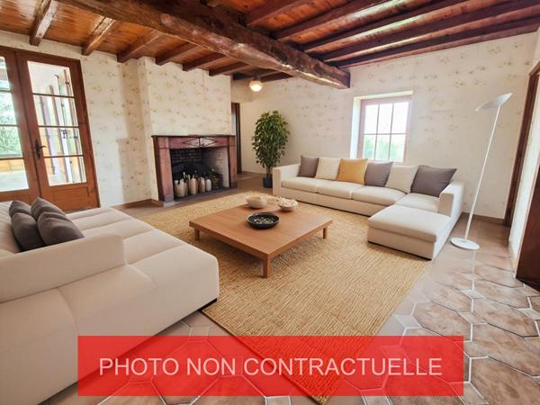 Bien rare à Casteljaloux : 2 maisons en pierre sur 3 000 m² de terrain