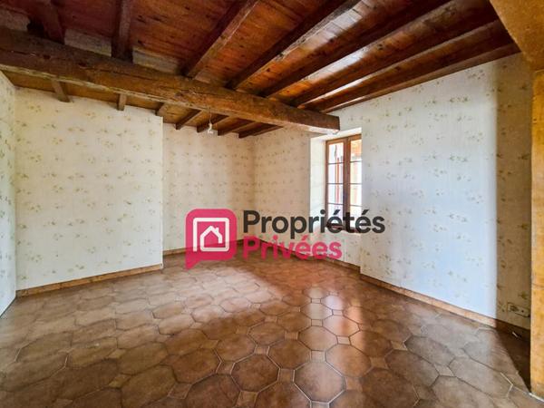 Bien rare à Casteljaloux : 2 maisons en pierre sur 3 000 m² de terrain