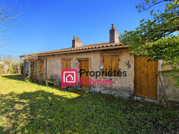 Bien rare à Casteljaloux : 2 maisons en pierre sur 3 000 m² de terrain