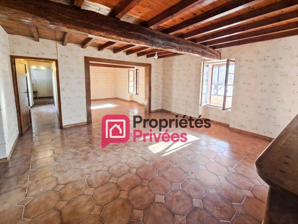 Bien rare à Casteljaloux : 2 maisons en pierre sur 3 000 m² de terrain