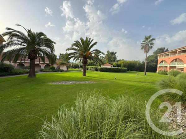 Appartement F1 à vendre  1 pièce - 25,81 m2 SAN NICOLAO - 202