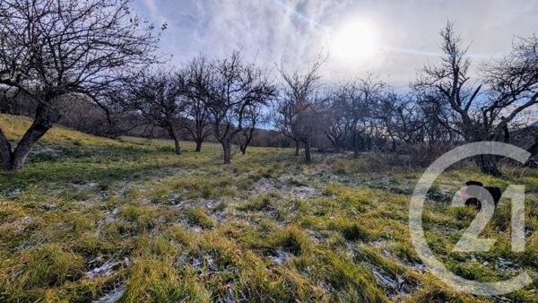 Maison à vendre  6 pièces - 122,85 m2 ST BONNET EN CHAMPSAUR - 05