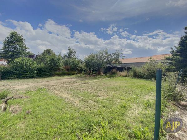 Vente terrain Saint Leger Sous Cholet : 70 000 € - AJP Immobilier Cholet