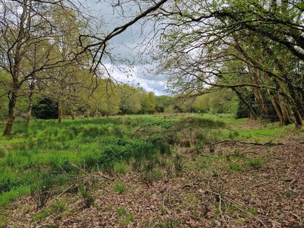 Maison à vendre à Maël-Carhaix dans les Côtes-d'Armor (22340), ref : 22075-MA01618