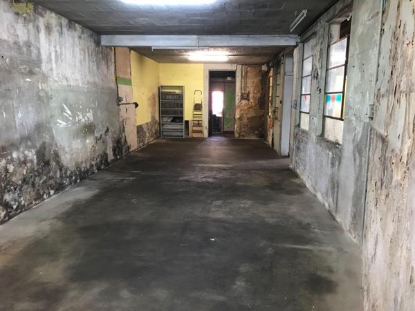 Local mixte (Pro/Hab) à vendre à Beaufay dans la Sarthe (72110), ref : 079/1709