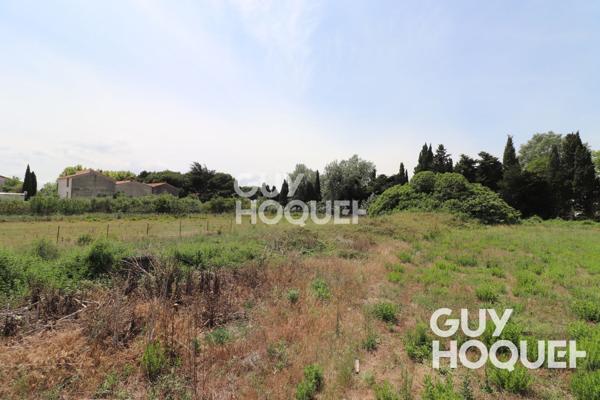 Sainte Marie Terrain constructible- Parcelle de 2064 m² - libre constructeur