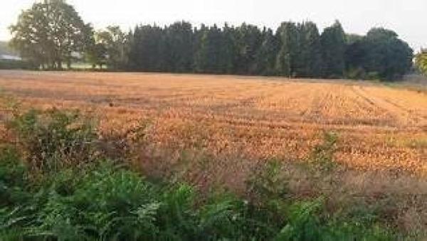 Calme et sérénité à  20 mn de la gare TGV d'Auray