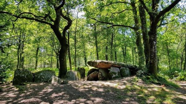 Calme et sérénité à  20 mn de la gare TGV d'Auray