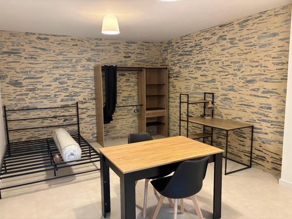 Appartement à louer, 1 pièce - ANGERS 49100