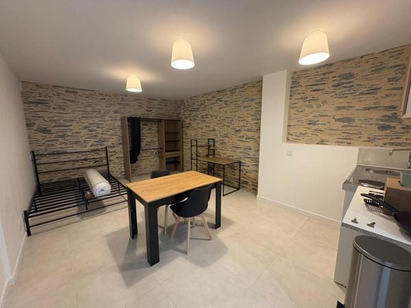 Appartement à louer, 1 pièce - ANGERS 49100