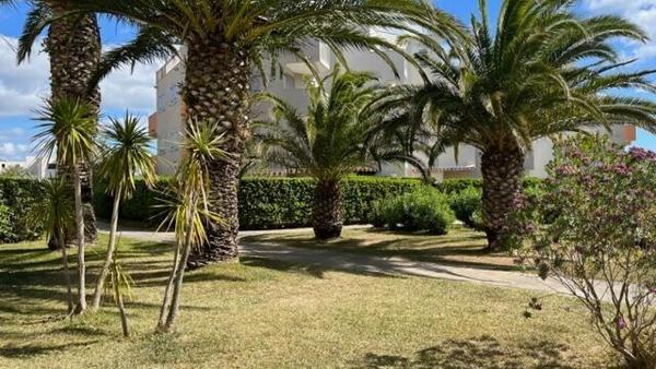 Appartement à louer  1 pièce •  Saint-Cyprien