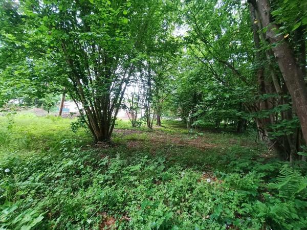 Achat - Terrain à bâtir | Terrain à bâtir Saint-Étienne-Roilaye 60350 1228 m 2