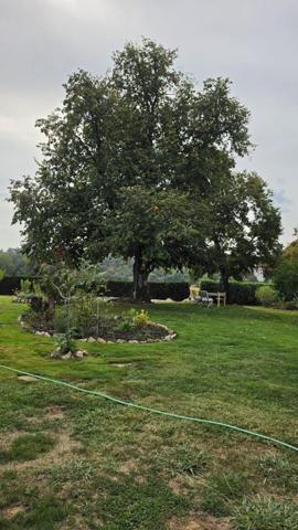 Vente / Maison de plain-pied à Saint-Sever (40500)