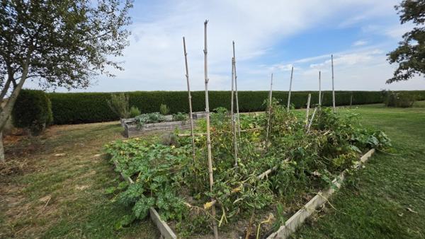 Vente / Maison de plain-pied à Saint-Sever (40500)