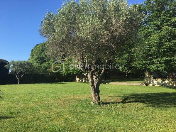 Terrain de 734 m²