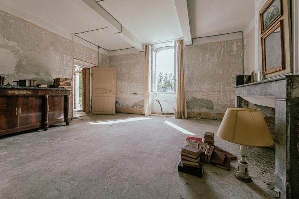 Maubourguet (65) - À vendre Maison de maître de 265 m² + terrain constructible et dépendances au calme.