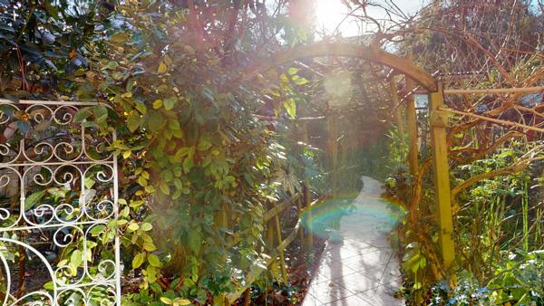 Parc de Sceaux / RER B / Pavillonnaire / Maison Chatenay Malabry 8 pièces 248.13m²