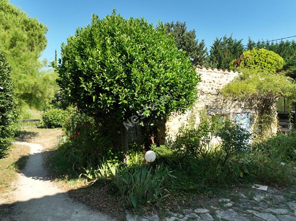 DRÔME : Ancien corps de ferme rénové sur 3500 m² avec piscine et parc arboré
