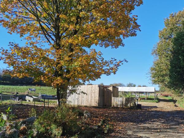 Magnifique propriété de 1983 sur un terrain de 13000m²