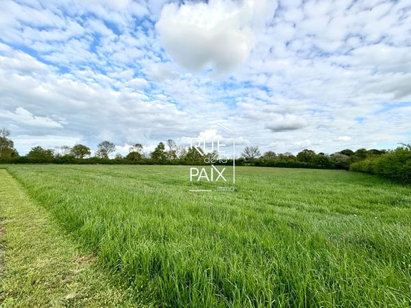 79200 CHATILLON SUR THOUET Maison rénovée au calme avec piscine à Chatillon-sur-Thouet