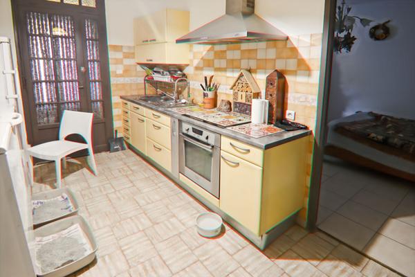 Maison viager occupé 13015