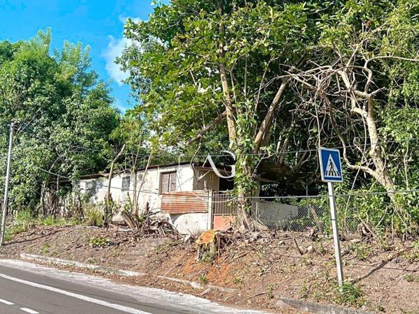 Terrain de 1500 m² arboré, Vue mer, Saint-Pierre