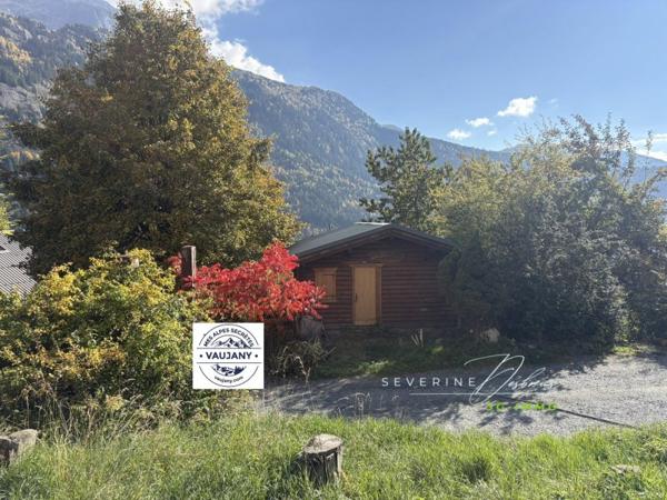 Vente / Chalet