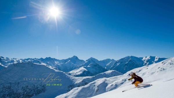 Vente / Chalet