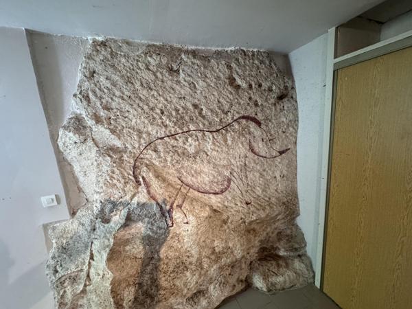 Vente / Maison mitoyenne