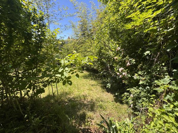 Vente / Maison mitoyenne