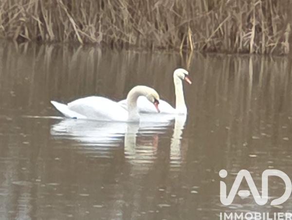 Maison à vendre 2 pièces 106 m² Damvillers