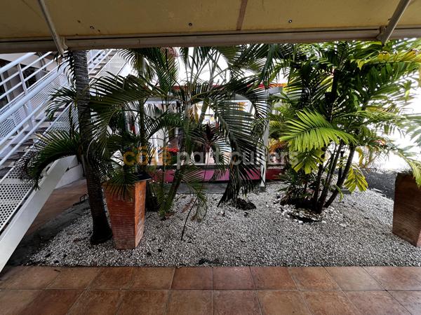Vente
                Local commercial25 m² - 1 Pièce -
                    SAINT FRANCOIS (97118)