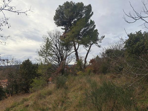 Terrain de 2000 m2 à vendre MANOSQUE (04)