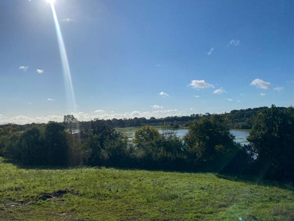 Appartement Port Saint Pere 1 pièce(s) 32 m2