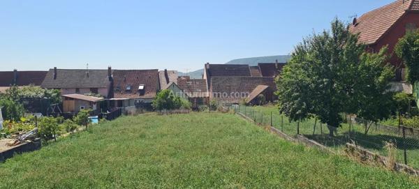 Vente Terrain 677 m2 à Obermorschwihr