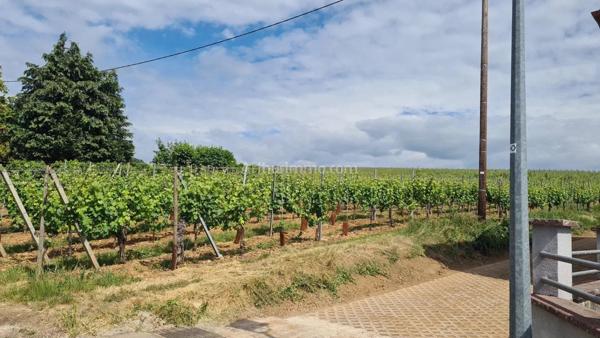 Vente Terrain 677 m2 à Obermorschwihr